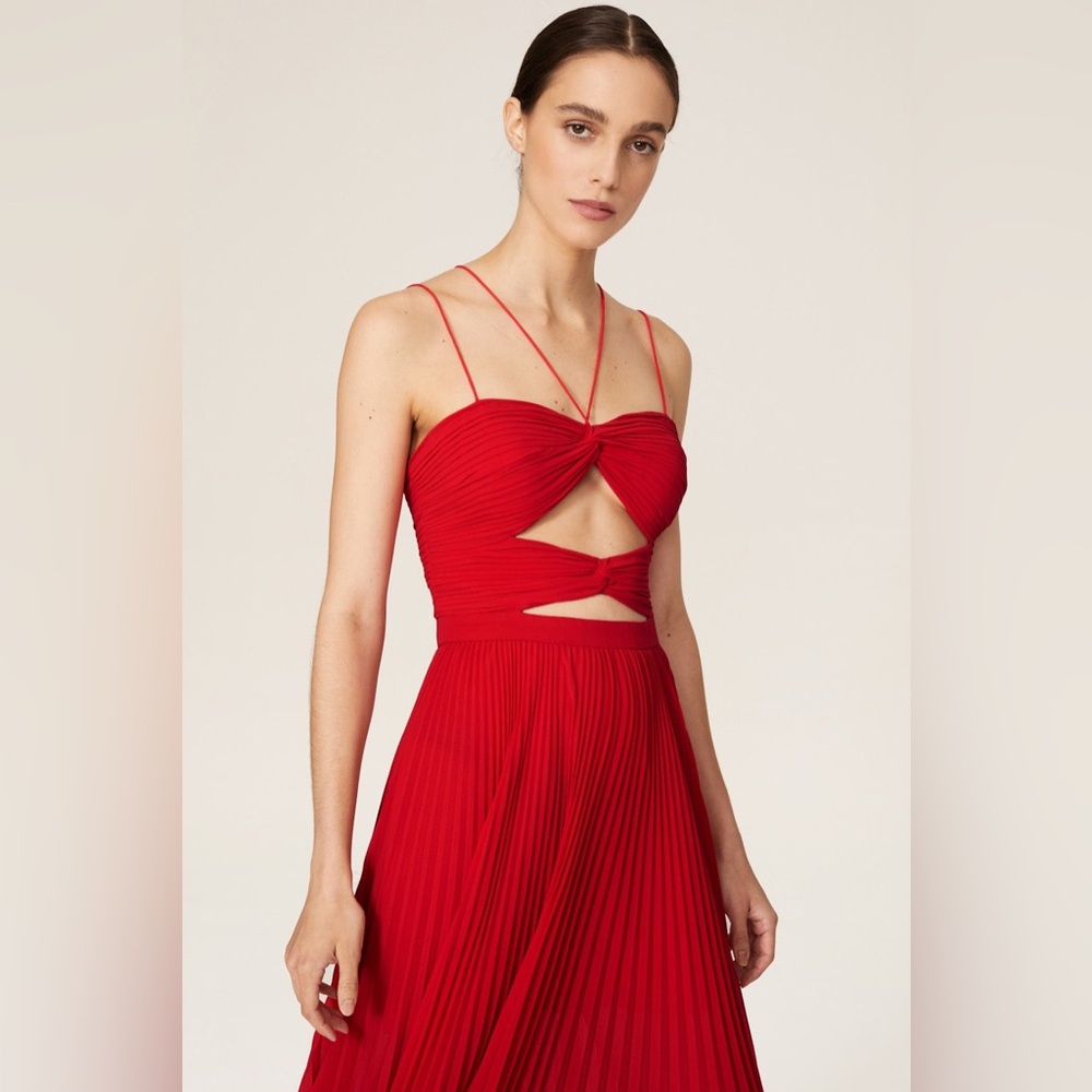 AMUR Red Maxi Dress - Picture 3 of 5
